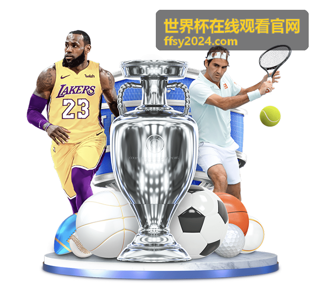 2010年南非世界杯最终排名榜表详细回顾
